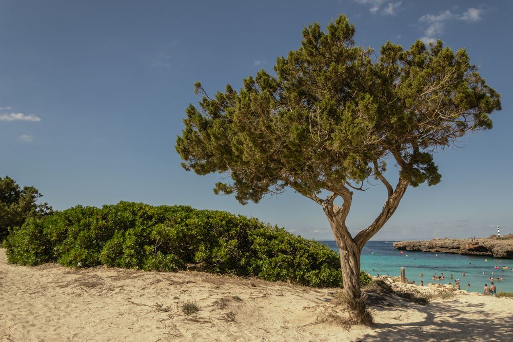 Cala en Bosch auf Menorca