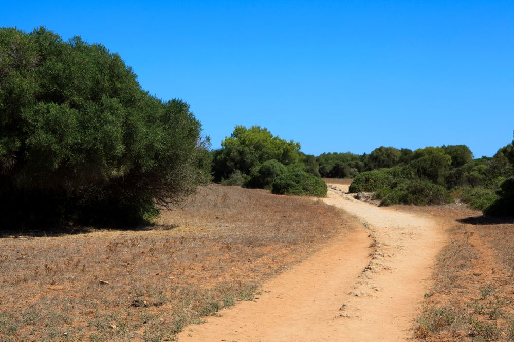 Cami de Cavalls