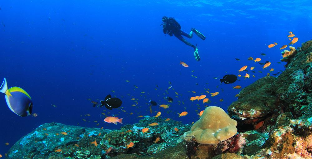 Unterwasser Tauchen on Menorca
