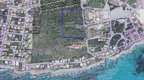 Riesiges rustikales Grundstück mit 3,6 ha in Punta Prima